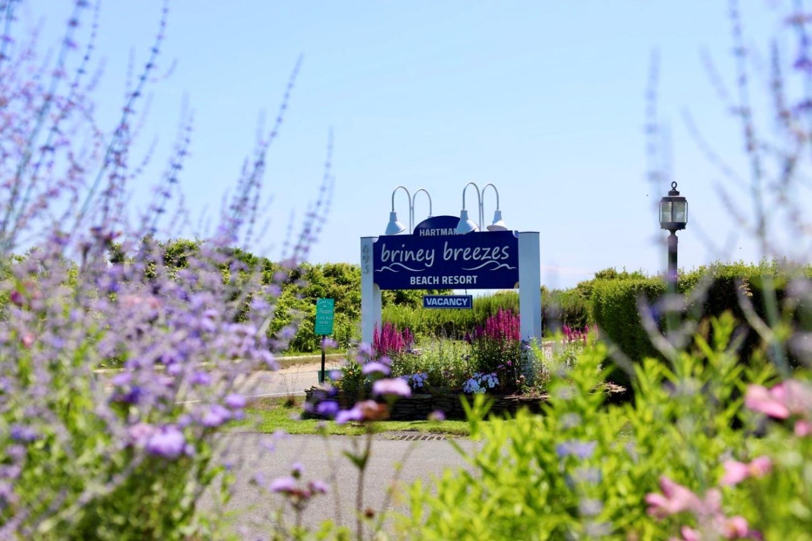 מונטוק Hartman'S Briney Breezes Beach Resort מראה חיצוני תמונה